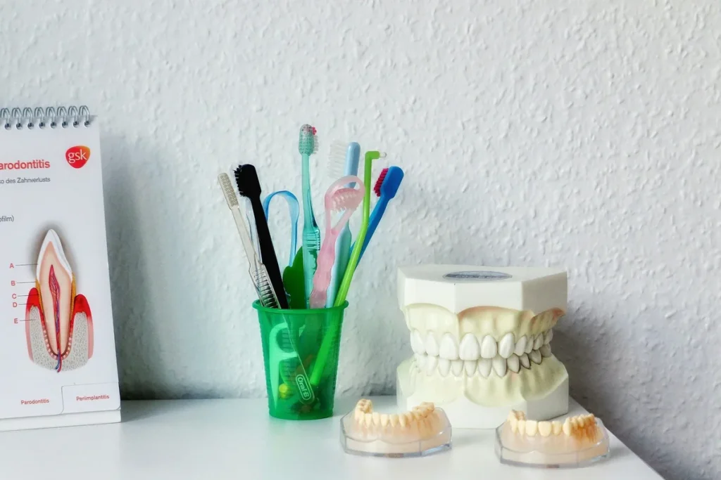 Brosses à dents et matériel d'hygiène bucco-dentaire avec modèle de mâchoire en cabinet